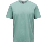 Peak Performance Herren Explore Graphic T-Shirt (Größe S, tuerkis)