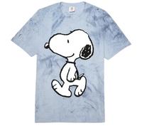 Peanuts Snoopy Hundespaziergang Fun Friends BFF Classic Happiness Comfort Colors Adult Heavyweight T-Shirt