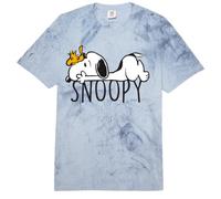 Peanuts Snoopy Woodstock BFF Super Dog Best Classic Friends Comfort Colors Adult Heavyweight T-Shirt
