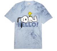 Peanuts Snoopy Woodstock Hello Friends BFF Dog Classic Lover Comfort Colors Adult Heavyweight T-Shirt