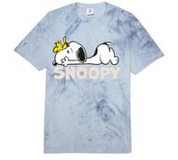 Peanuts Snoopy Woodstock Super Dog Best Friends Classic BFF Comfort Colors Adult Heavyweight T-Shirt