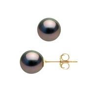 PEARLS & COLORS - Prestige Ohrringe - Echte runde Tahiti-Zuchtperlen 8.5-9 mm - A+ Qualität - Erhältlich in Gelb- und Weißgold - Damenschmuck