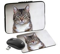 PEDEA Design Schutzhülle Notebook Tasche bis 13,3 Zoll (33,7cm) mit Mauspad und schnurloser Maus, Cat