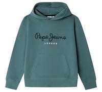 Pepe Jeans Jungen Art Hoodie Sweatshirt, Grün (Hydro Green), 10 Jahre