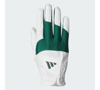 PERFORMANCE HANDSCHUH, EINZELSTÜCK White / Collegiate Green Links S