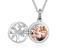 Personalisiert Sterling Silber Medaillon Halskette Baum von Leben Angepasst Foto Herz Anhänger Halsketten zum Frauen Mädchen Charme Schmuck Geschenk Bild Gravur Text Andenken Vorhanden von 18 Zoll