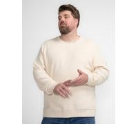 Petrol Industries - Unifarbener Sweater Canning Herren - Braun XL