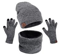 Petrunup Winter Mütze Schal Handschuhe Set Herren, 3Pcs Warm Beanie Snood und Handschuhe Touchscreen mit Thermovlies Futter, Grau