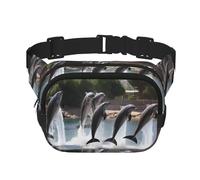 Phayah Gürteltasche mit süßem Delfin-Design, Bauchtasche für Herren, Damen, Workout, Reisen, Freizeit, Laufen, Wandern, Radfahren, Bauchtasche