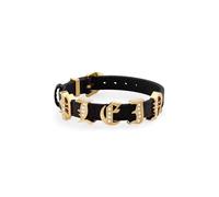 Philipp Plein Damen Armband Edelstahl IP Gold Leder Lettering PJ1AA22BU