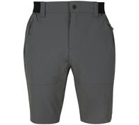 Phoenix 1 Herren Shorts, grau, Gr. 50