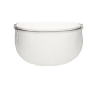 PICARD - LUIS white lily - Gr. - OS