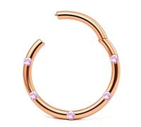 PIERCINGO® CLICKER Roségold 5 ZIRKONIA KRISTALLE Aurora Borealis Segment-Ring Scharnier-Gelenk Septum Nase Ohr STRASS Piercingring Klicker CHIRURGENSTAHL 316L EDEL-STAHL Rosé Gold (1.2mm x 8mm)