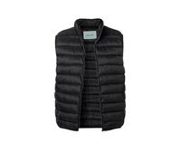 Pierre Cardin Steppweste Herren Stehkragen Mikrofaser Schwarz, M