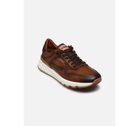 Pikolinos Sneakers in Leder Aranda für Männer Farbe Cuero