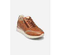 Pikolinos - CANTABRIA W4R-6622C1 - braun - Sneaker - Größe 42