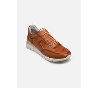 Pikolinos - Cantabria W4R-6731 - Braun - Sneaker - Größe 36
