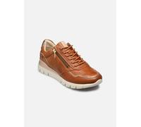 Pikolinos - CANTABRIA W4R-6994 - braun - Sneaker - Größe 41