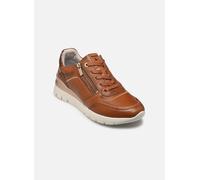 Pikolinos - CANTABRIA W4R - braun - Sneaker - Größe 40