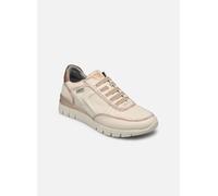 Pikolinos Sneaker CANTABRIA W4R in Beige 38