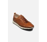 Pikolinos - FUENCARRAL M4A-6376C1 - braun - Sneaker - Größe 41