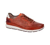 Pikolinos Fuencarral Schuhe braun gelocht M4U-6276C1 für Herren, braun, Größe 41 EU