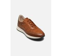 Pikolinos - GETAFE M2B-6284C1 - braun - Sneaker - Größe 40