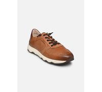 Pikolinos - MOLINOS M8B-6384C1 - braun - Sneaker - Größe 44