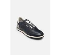 Pikolinos SALER M8W-6230C1 blue dunkel-blau - elegante Halbschuhe und Schnürschuhe für Herren - Größe 40