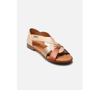 Pikolinos - Sandalen ALGAR W0X-0812 - mehrfarbig - Größe 37
