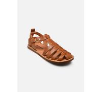 Pikolinos - Sandalen BETERA W0F-0934 - braun - Größe 35