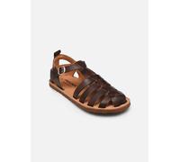 Pikolinos BETERA W0F-0934 olmo dunkel-braun - Sandalette für Damen - Größe 42