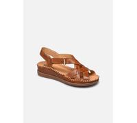 Pikolinos Sandalen CADAQUES W8K in Braun 39