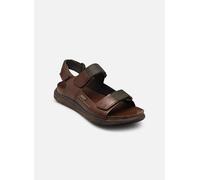 Sandale PIKOLINOS "PIKOLINOS Sandalen Leder/Textil", Damen, Gr. 42, dunkelbraun, Schuhe Sandale (29496360-42) dunkelbraun