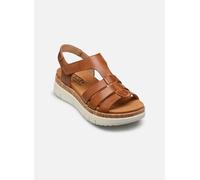 Pikolinos Keilsandalen PALMA W4N-0754 Leder Damen Brandy Größe 38