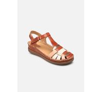 Pikolinos - Sandalen Sandales -CADAQUES W8K-0965C1 - braun - Größe 41