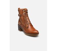 Pikolinos Llanes Stiefeletten mit Absatz Damen | Aus Leder | Schnür- und Reißverschluss | Hoher Absatz | EU-Größe 35-42