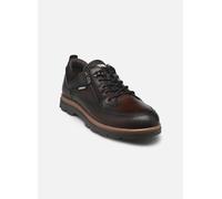 Pikolinos - Vigo M3M-4163C1 - braun - Sneaker - Größe 45