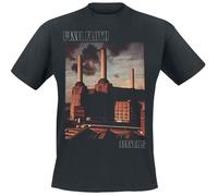 Pink Floyd Animals T-Shirt schwarz in XXL