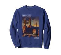 PINK FLOYD FADED ANIMALS Sweatshirt