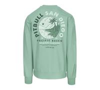 PITBULL Herren Sweatshirt Planet SURF Tricot Terry Pullover 280g, atmungsaktiv, Rückenprint Pacific Beach, elastisch, Freizeit & Streetwear Sweatshirts