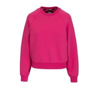 PITBULL - Sweatshirt Damen Crewneck Oversize Discovery, Pullover Damen, Sweatshirts mit Angerautem Innenfutter, Frauen Pulli, Longsleeve Sweat Shirt Crewneck, Frauen Blouse