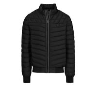 Herrenjacke Pitbull Naylor Padded black