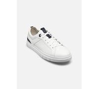 Pius Gabor Herren Sneaker Low,Halbschuhe,recyceltes Futter,Wechselfußbett,Turnschuhe,Laufschuhe,schnürschuhe,White/Denim,43 EU / 9 UK