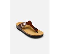 Plakton - Clogs & Pantoletten BOLERO - braun - Größe 36