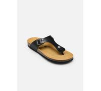 Plakton - Clogs & Pantoletten BOLERO - schwarz - Größe 38