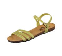 Plakton 575080 grün Gr. 38