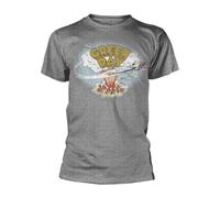 Plastic Head Green Day Dookie T-Shirt, Grau, XXL