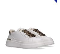 Plateausneaker TOMMY HILFIGER, Damen, Gr. 37, sanftes weiß, metallic, Lederimitat, Schuhe Plateausneaker, Plateauschuh, Chunky Sneaker, Schnürer im Animal Look (21864210-37) sanftes weiß, metallic