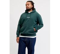 Plus Size Gedruckt Kapuzenpullover EU4XL US2XL Scarab